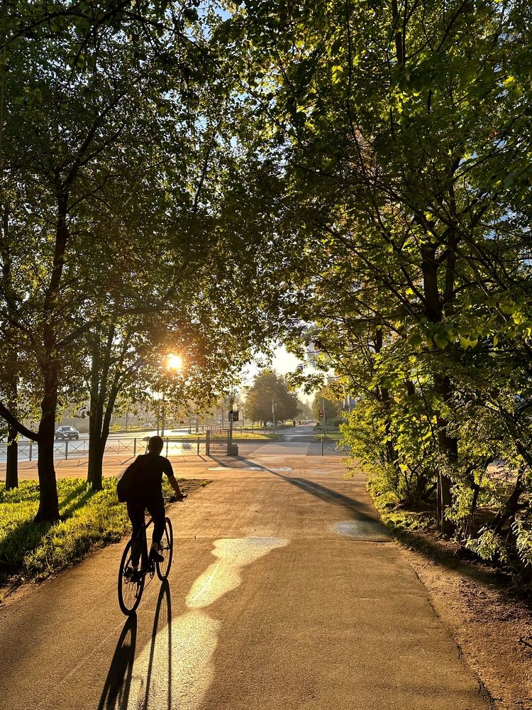 Фотография автора Alina Efimova