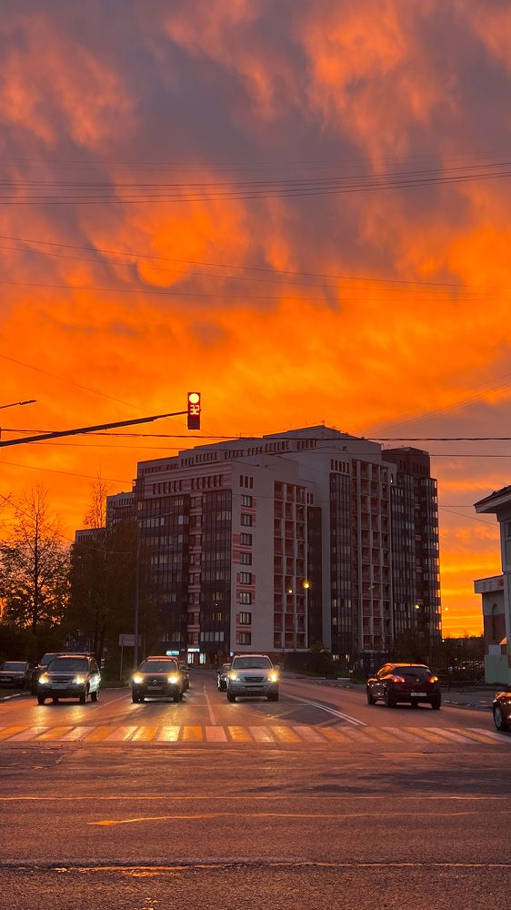 Photograph by Мария Петровцева