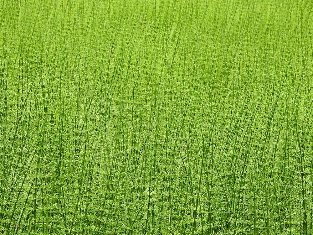 Photograph by Елена Старкова