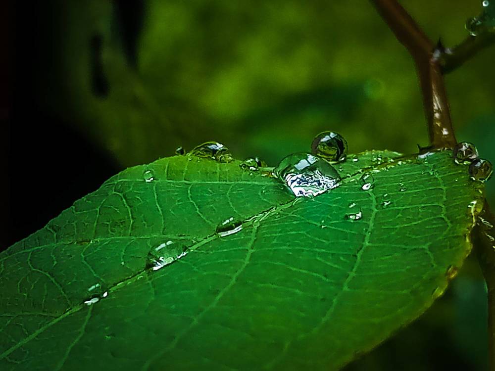 Photograph by Ambewadikar sourabh