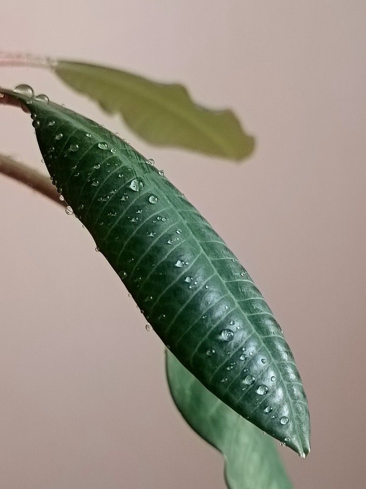 Photograph by Татьяна Яцкевич