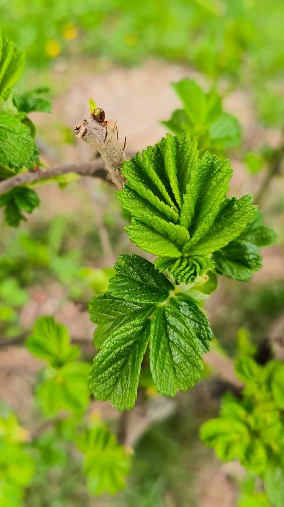 Photograph by Татьяна Яцкевич