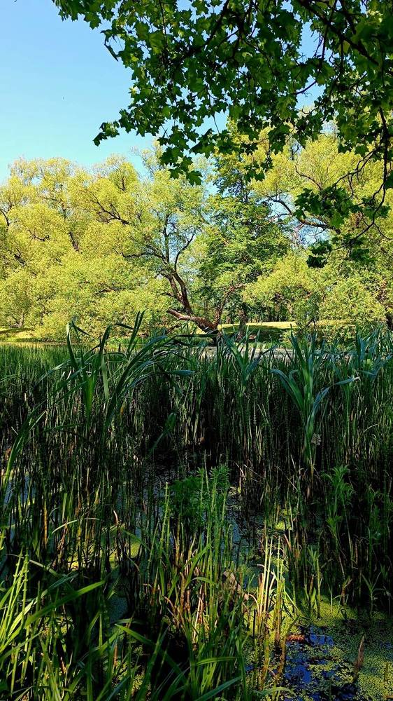 Photograph by Татьяна Яцкевич