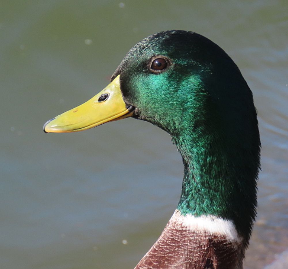 Photograph by mahboubeh moradalizadeh