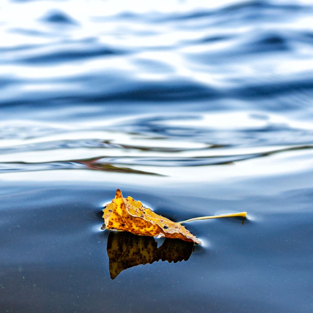 Photograph by Vitaly Lapin