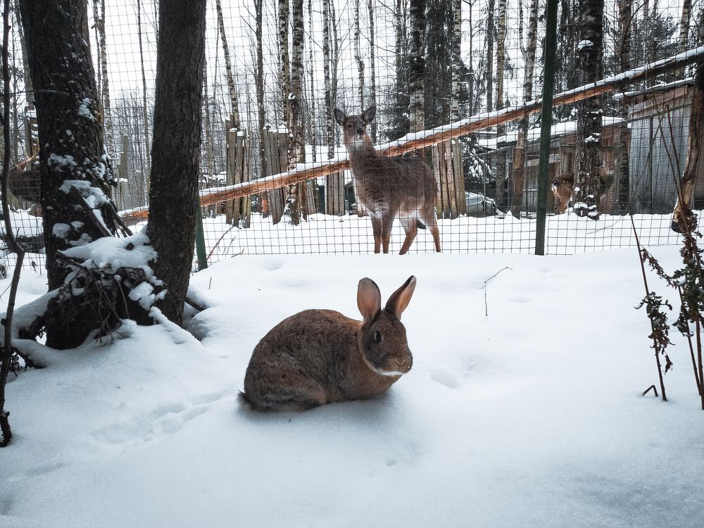 Photograph by Michael Nik