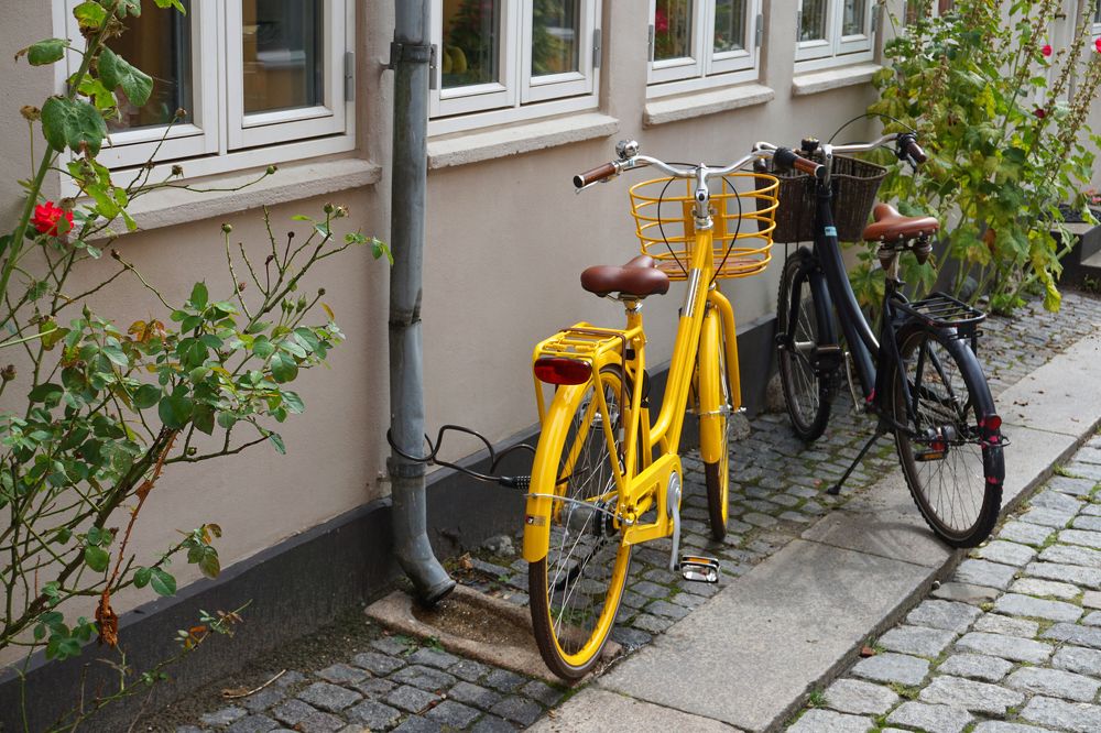 Photograph by Надежда