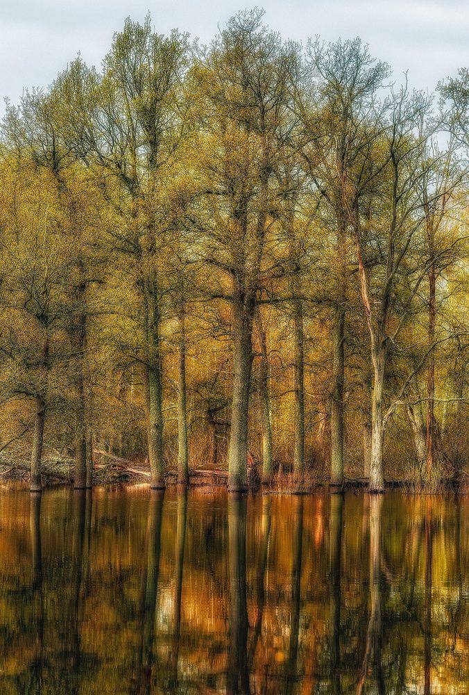 Photograph by Leanid Kulpo