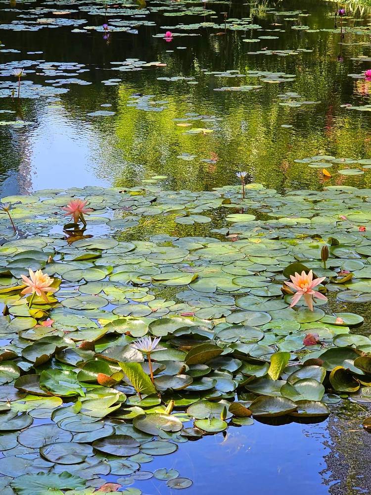 Фотография автора Oksana Podgorodetska