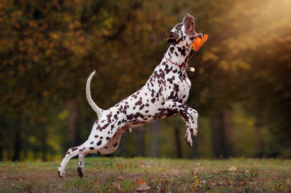 Photograph by Яна Нарбутович