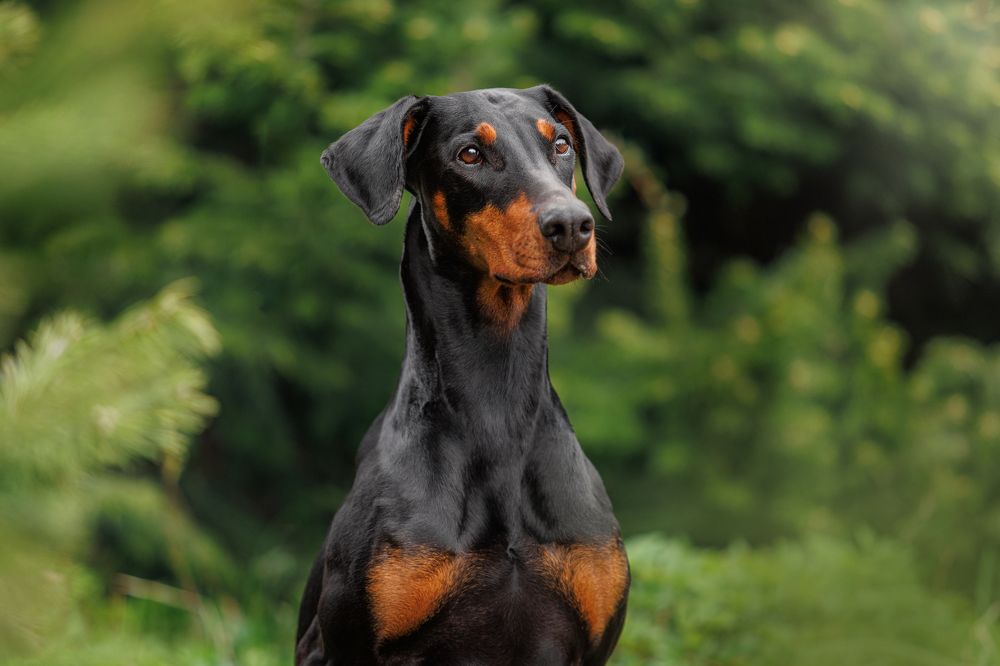 Photograph by Яна Нарбутович