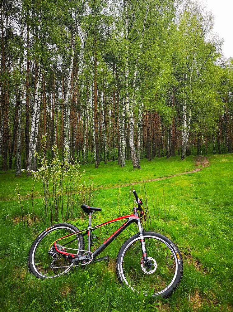 Photograph by Юлия