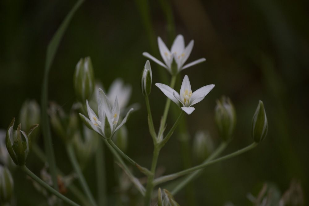 Photograph by Лариса Белашова