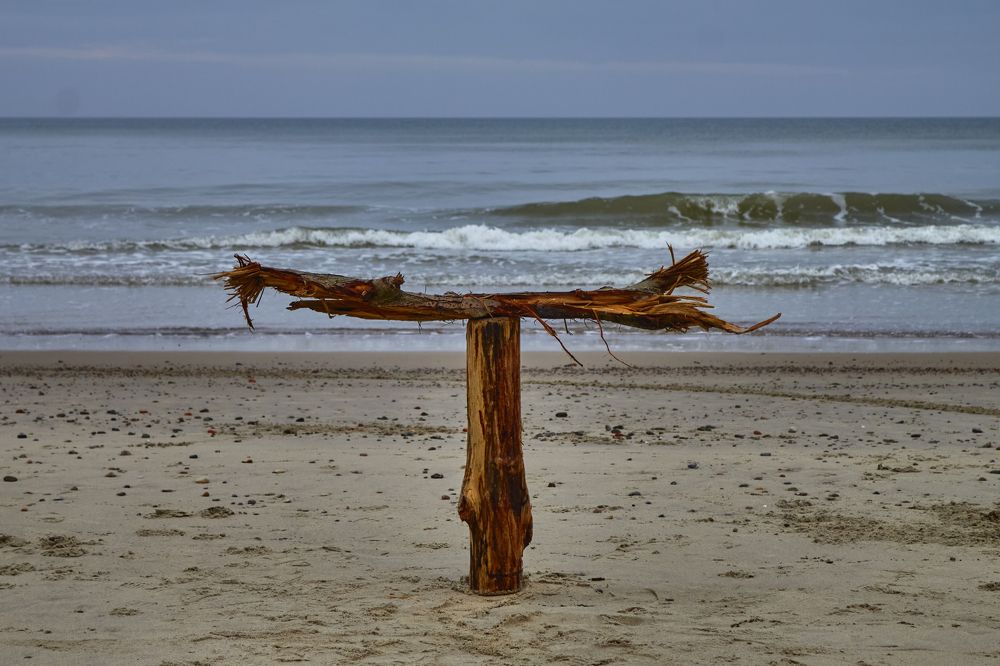 Photograph by Anders Gans