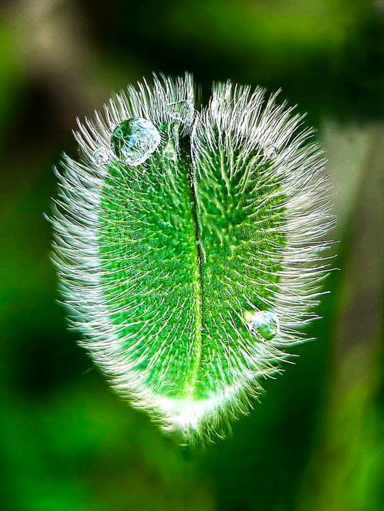 Photograph by Екатерина Козлова