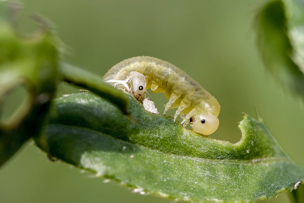 Photograph by Юрий Бичеров