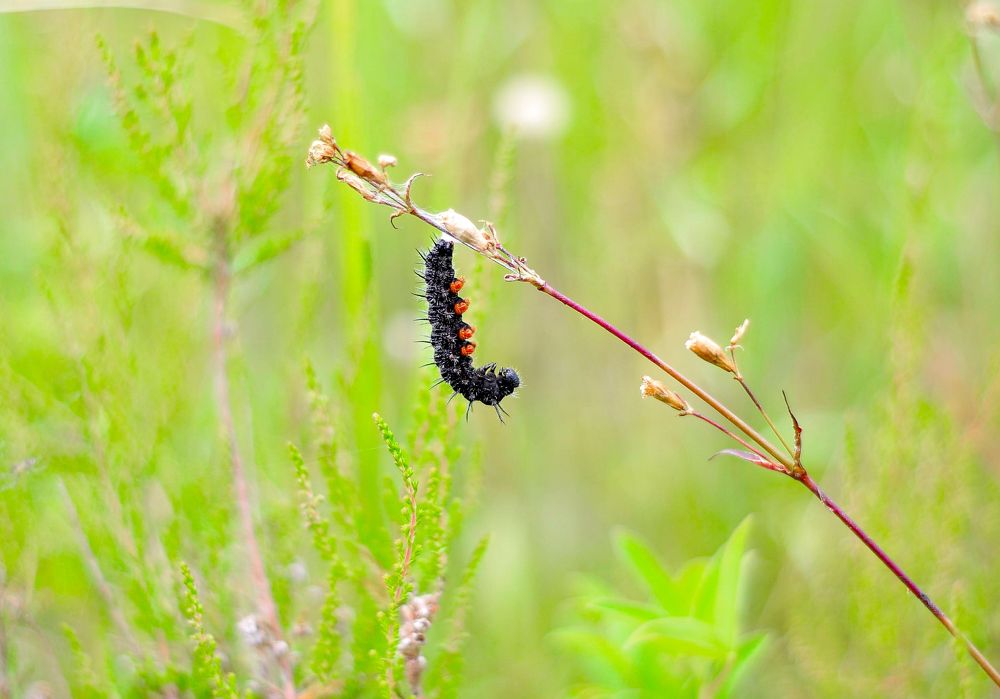 Photograph by Юрий Бичеров