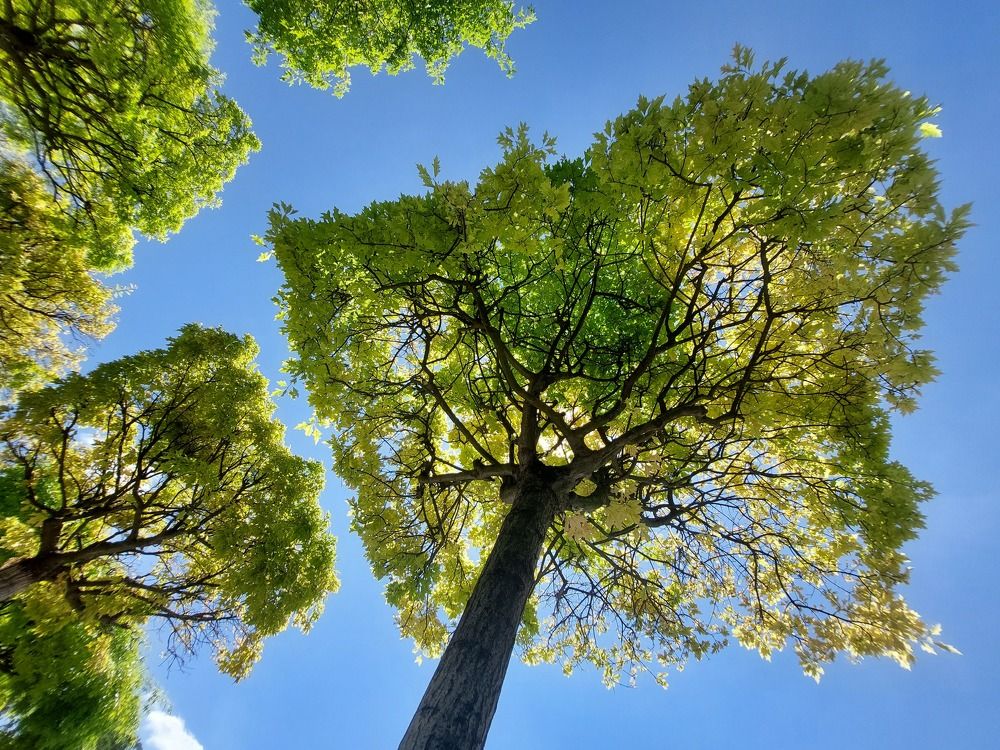 Photograph by Надежда