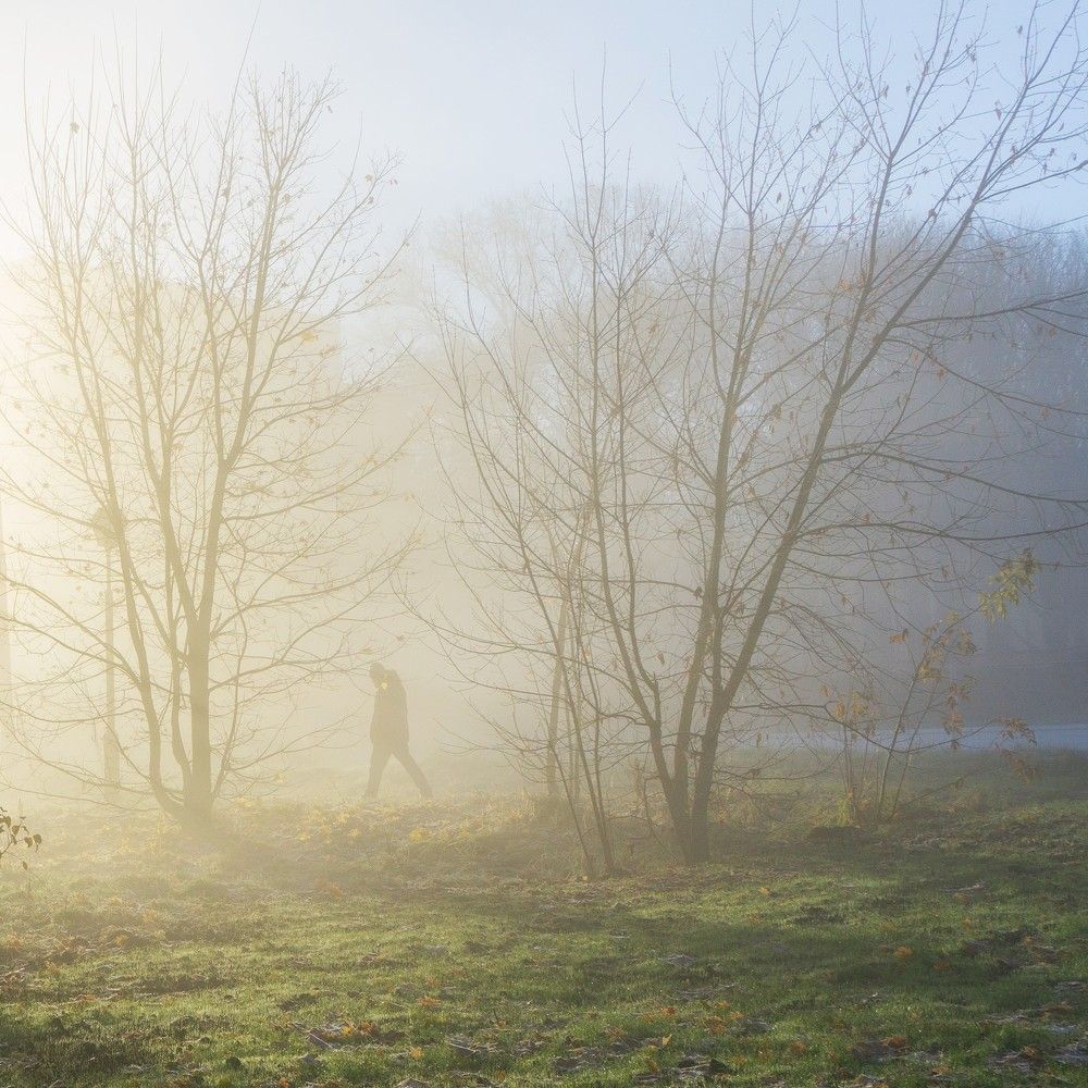 Photograph by Надежда