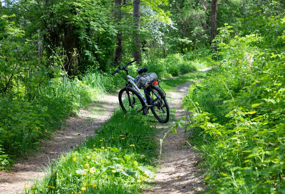 Photograph by Анна Евдокименко