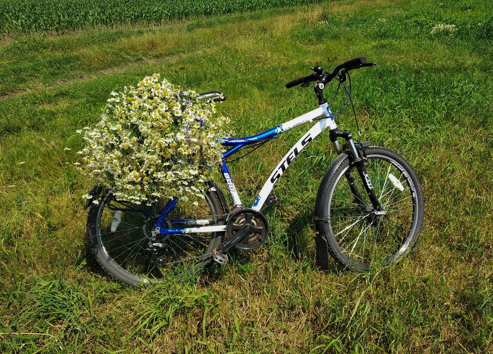 Photograph by Анна Евдокименко