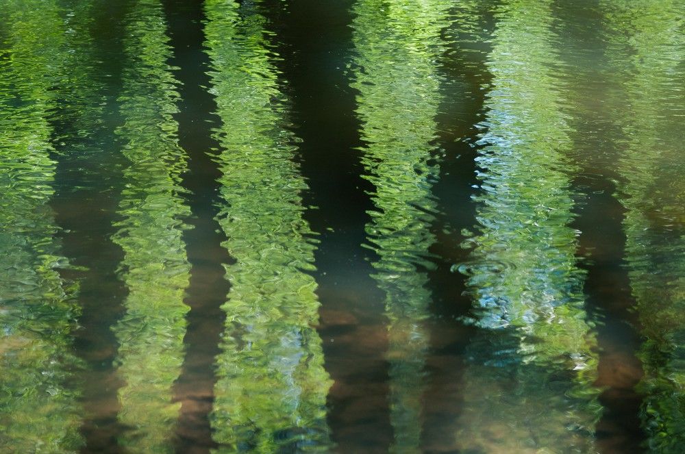 Photograph by Надежда