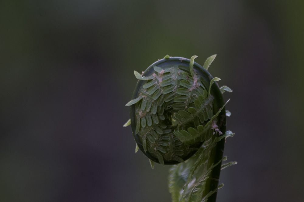 Photograph by Лариса Белашова