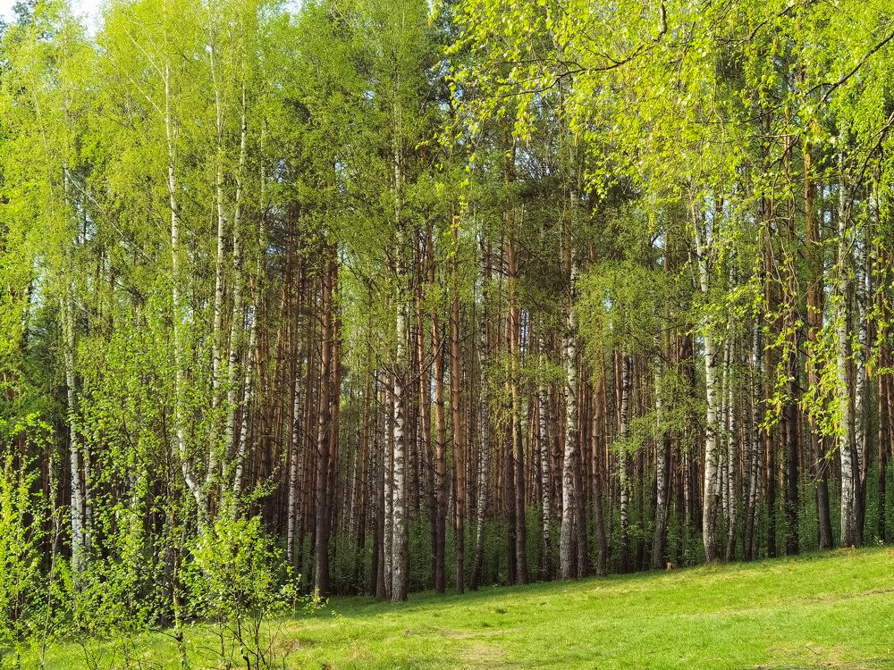 Photograph by Юлия