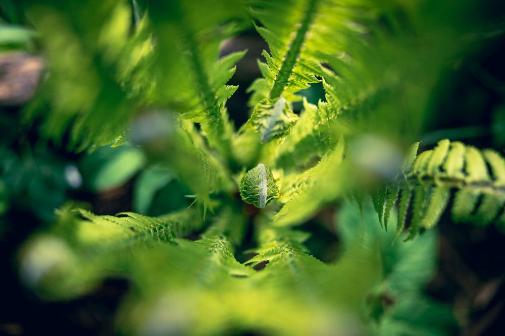 Photograph by Марина Пехтерева