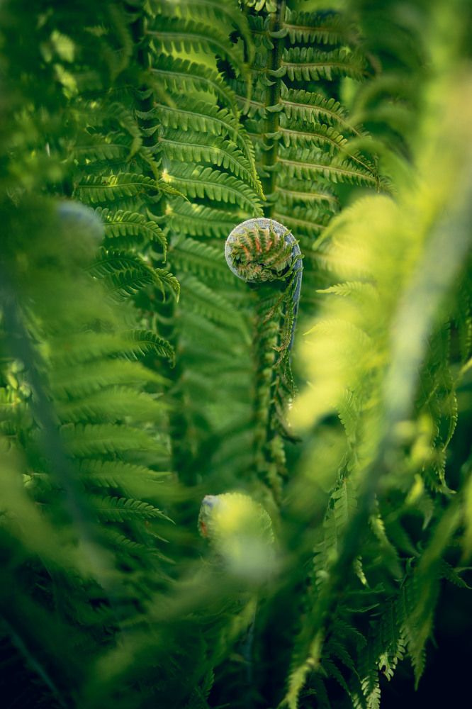 Photograph by Марина Пехтерева