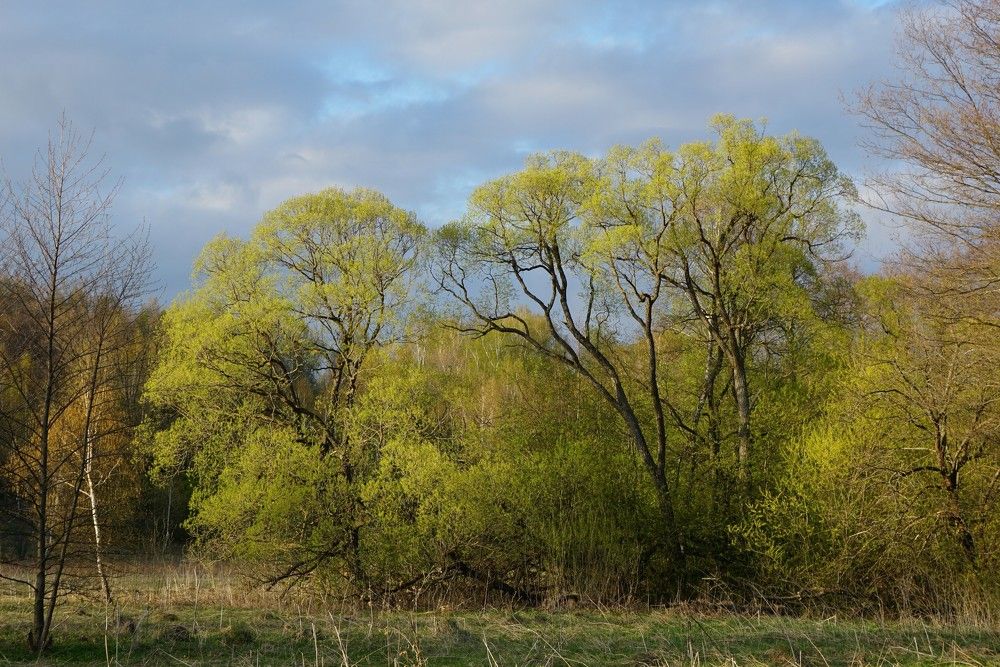 Photograph by Надежда