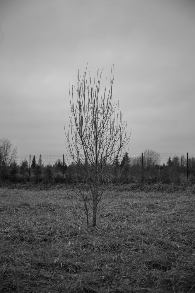 Photograph by Maxim Lip