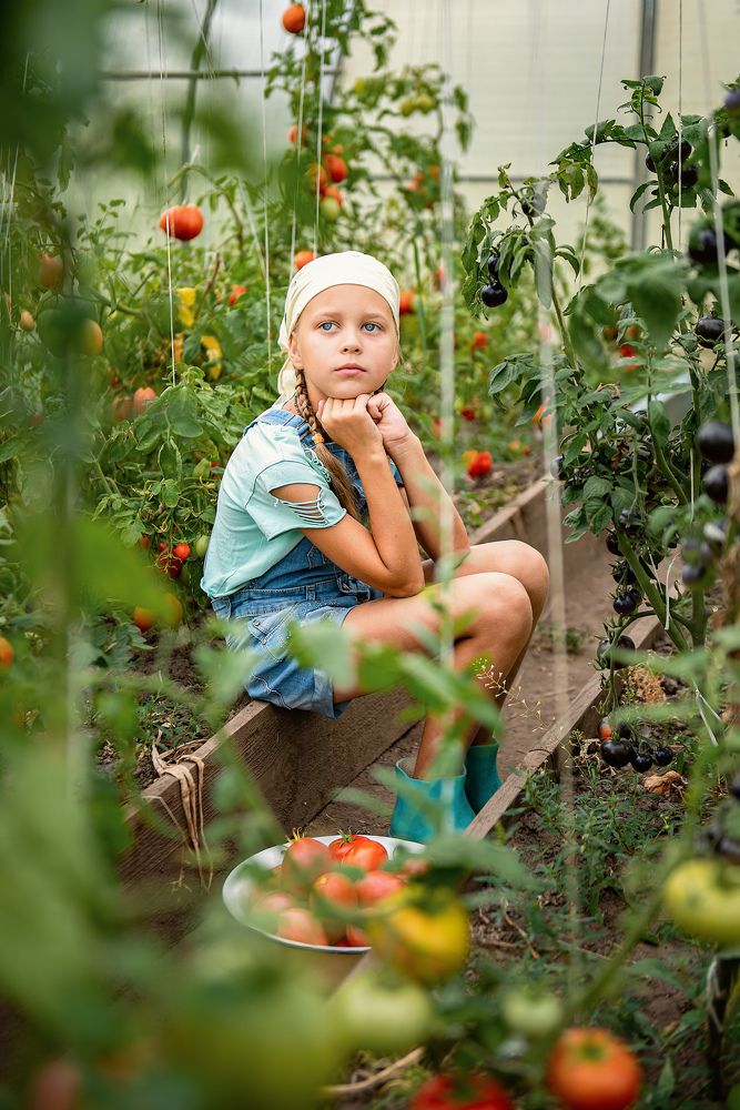 Фотография автора Вера Гарусина