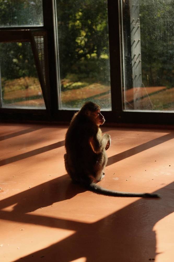 Photograph by Maxim Lip