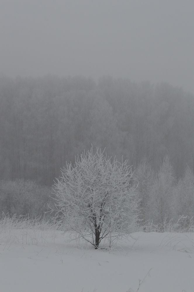 Photograph by Ольга Долматова