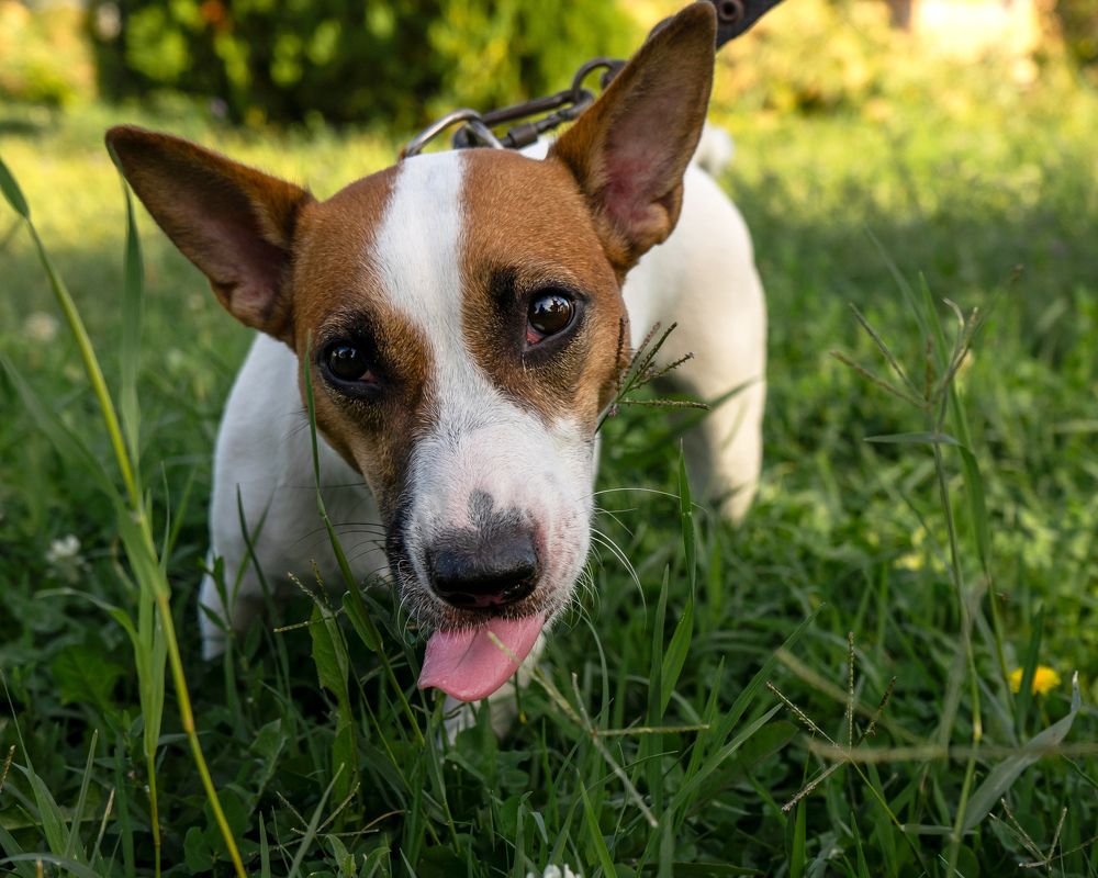 Photograph by Анна Анатольевна