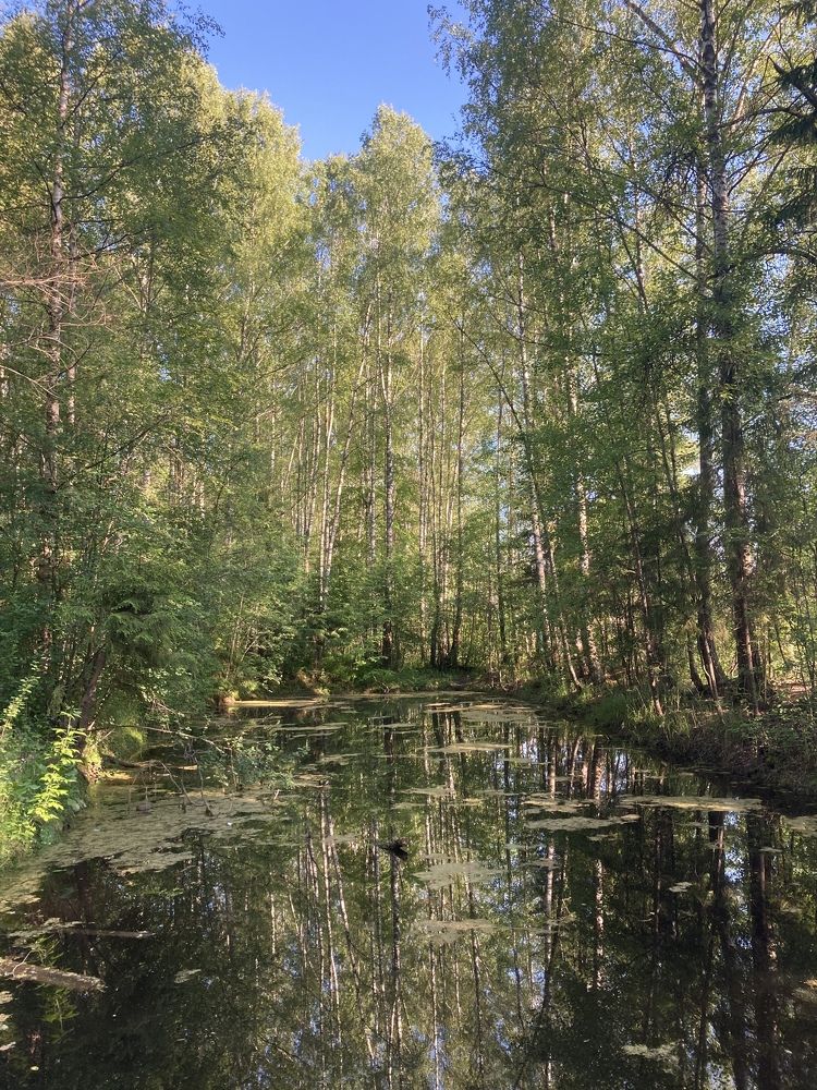 Photograph by Ксения Березкина