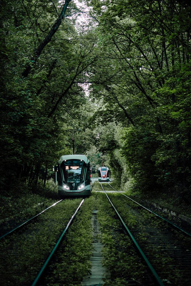 Photograph by Сергей Макаров