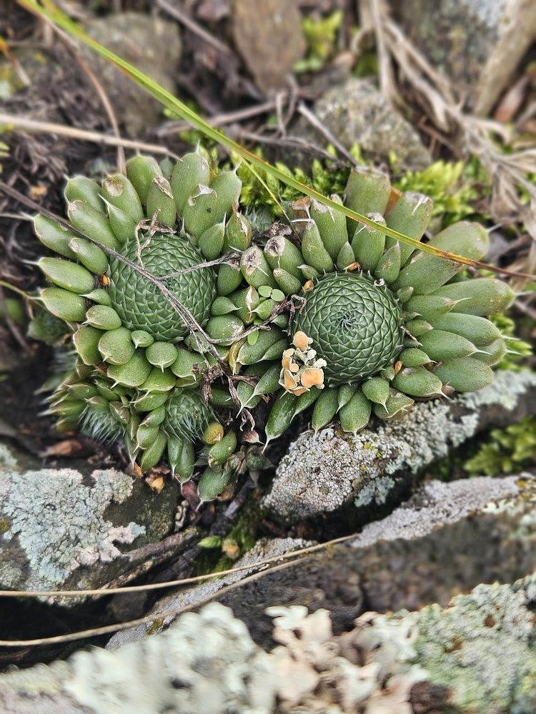 Photograph by Любовь Ершова