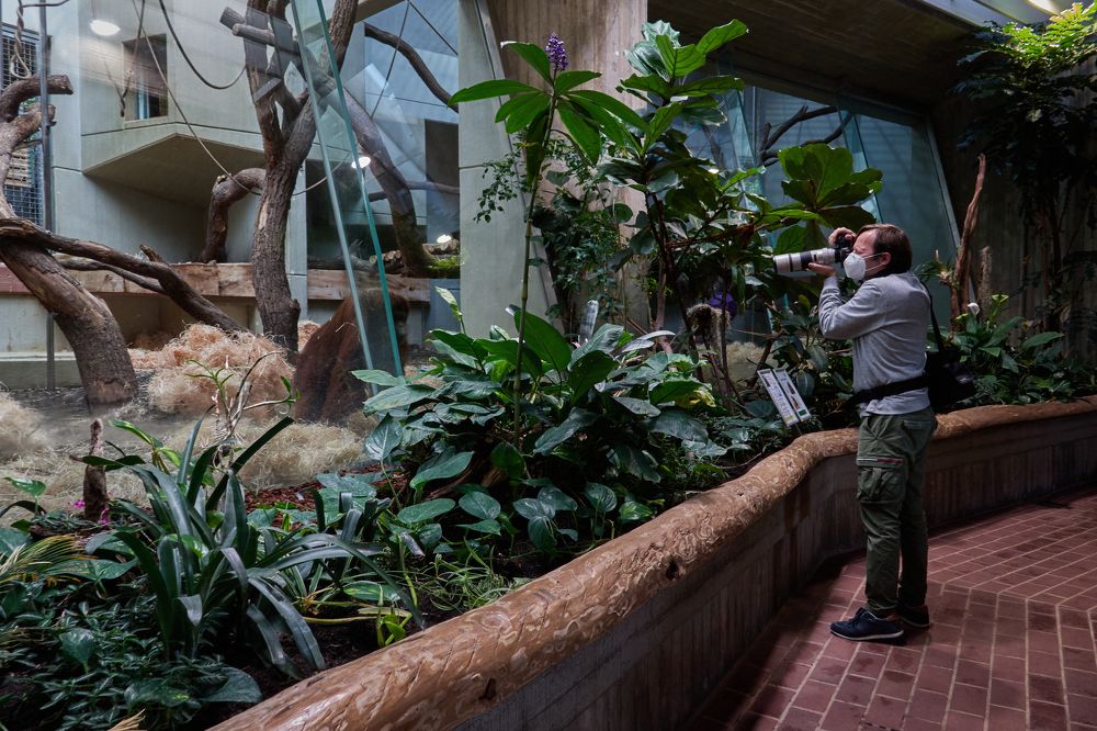 Фотография автора Ekaterina Palant