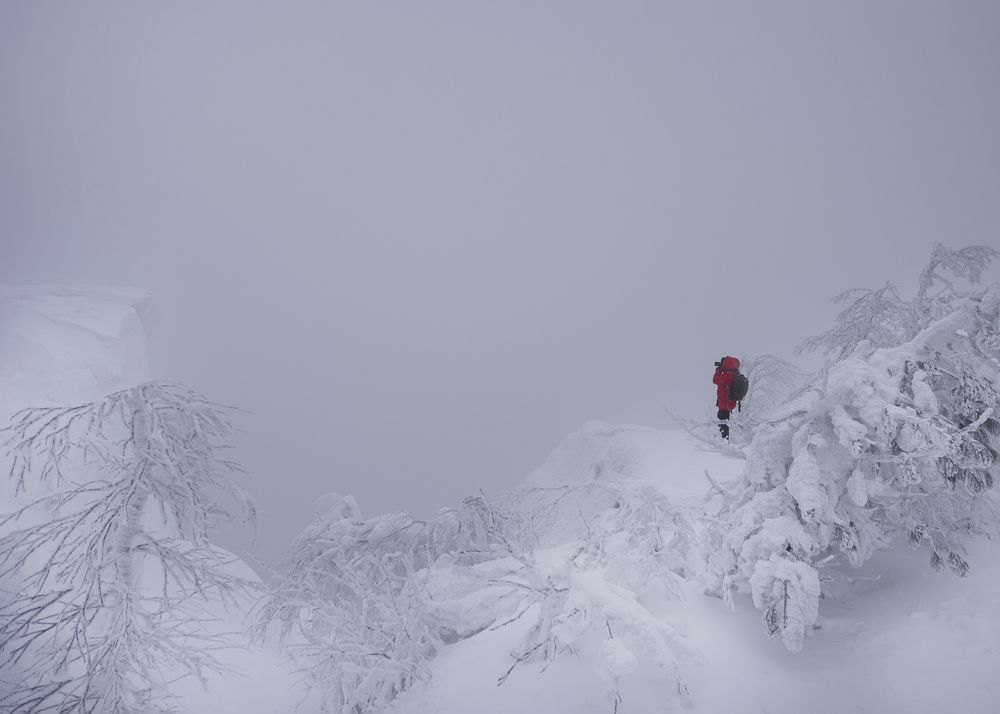 Photograph by Ольга Белоусова