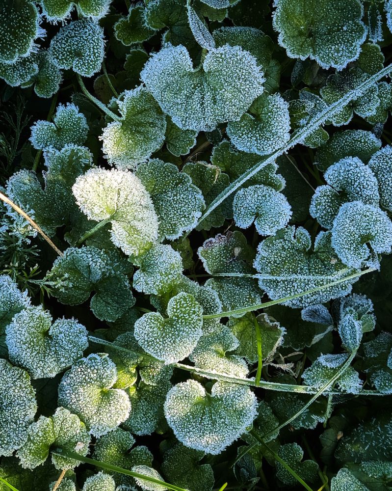 Photograph by Людмила Григорьева