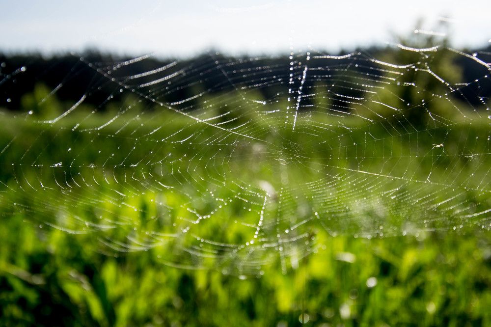 Photograph by Епишев Андрей