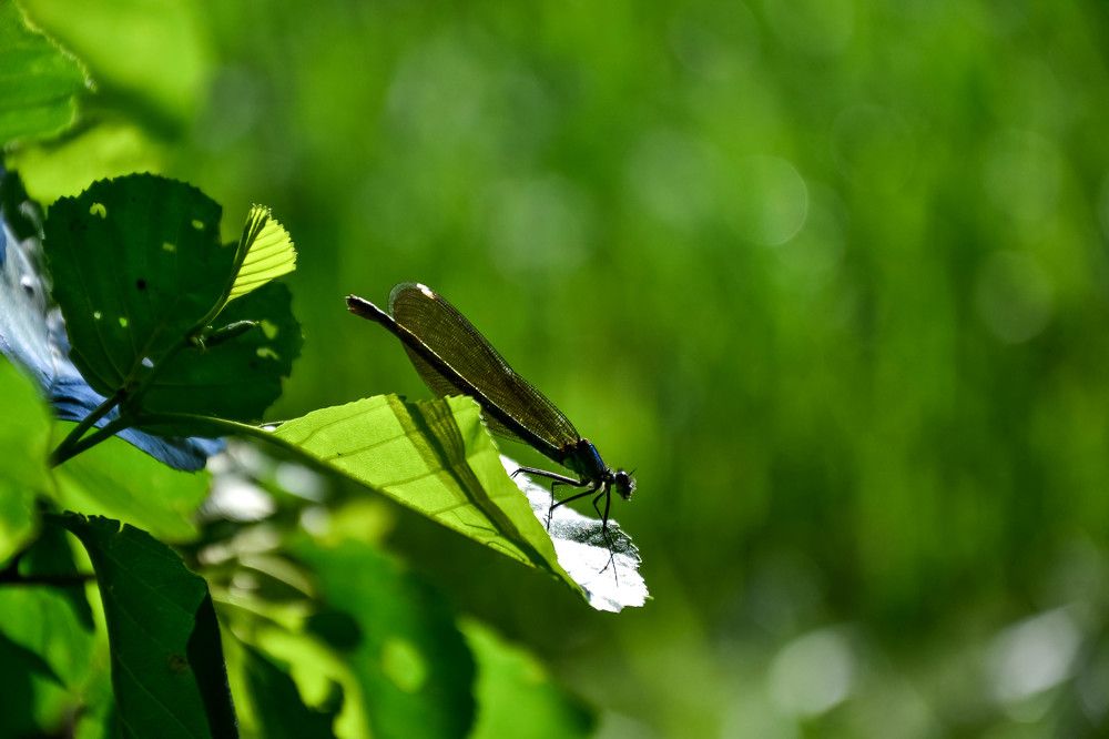 Photograph by Епишев Андрей