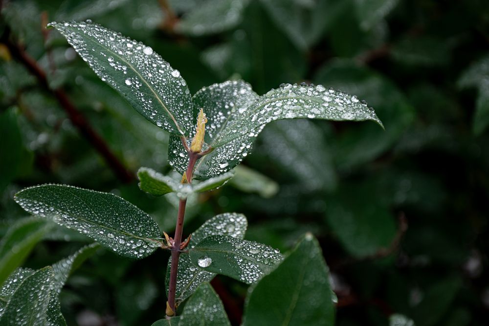 Photograph by Юлия Козельских