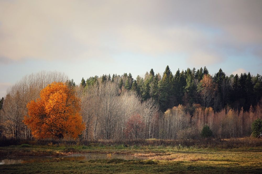 Фотография автора Alina Efimova