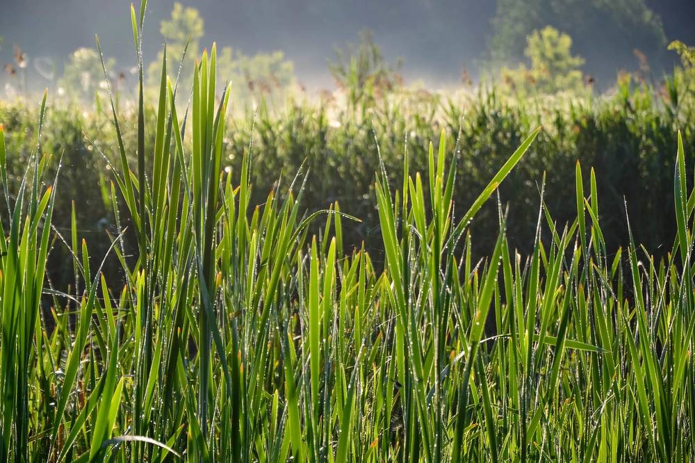 Photograph by Епишев Андрей