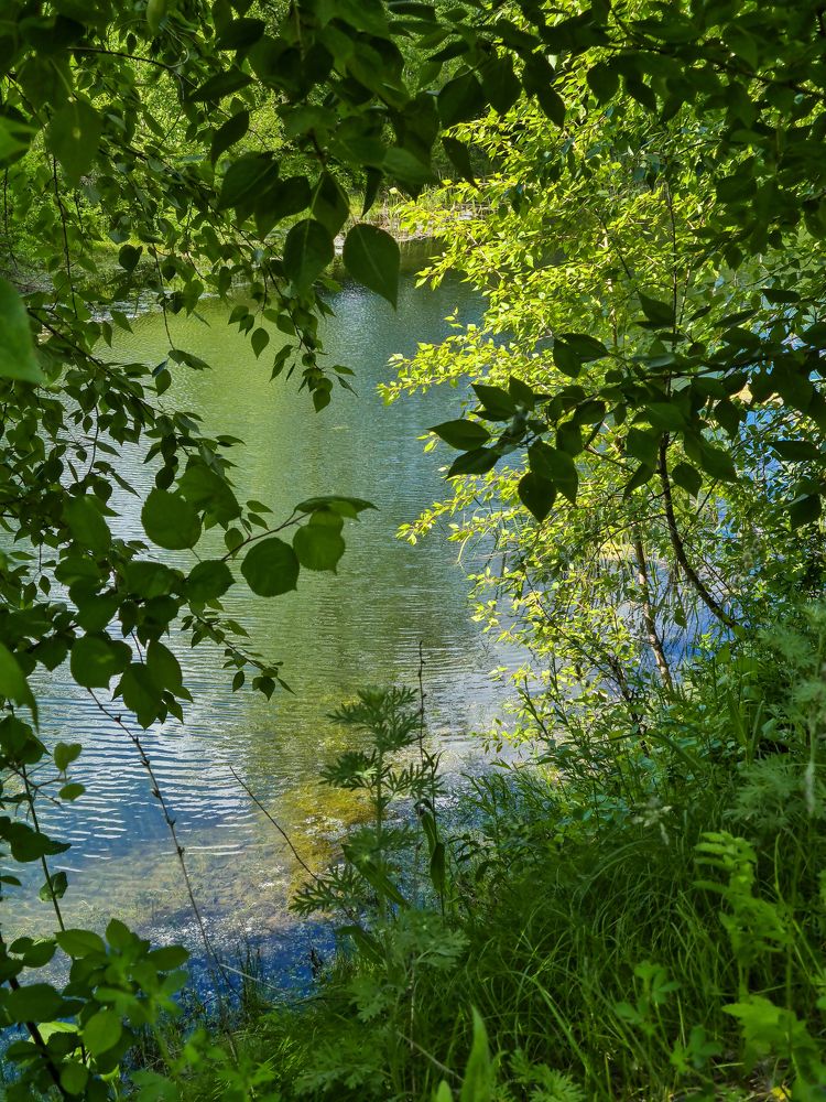 Photograph by Людмила Григорьева