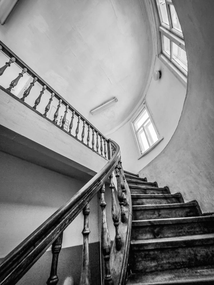 Фотография автора Светлана Алексеева