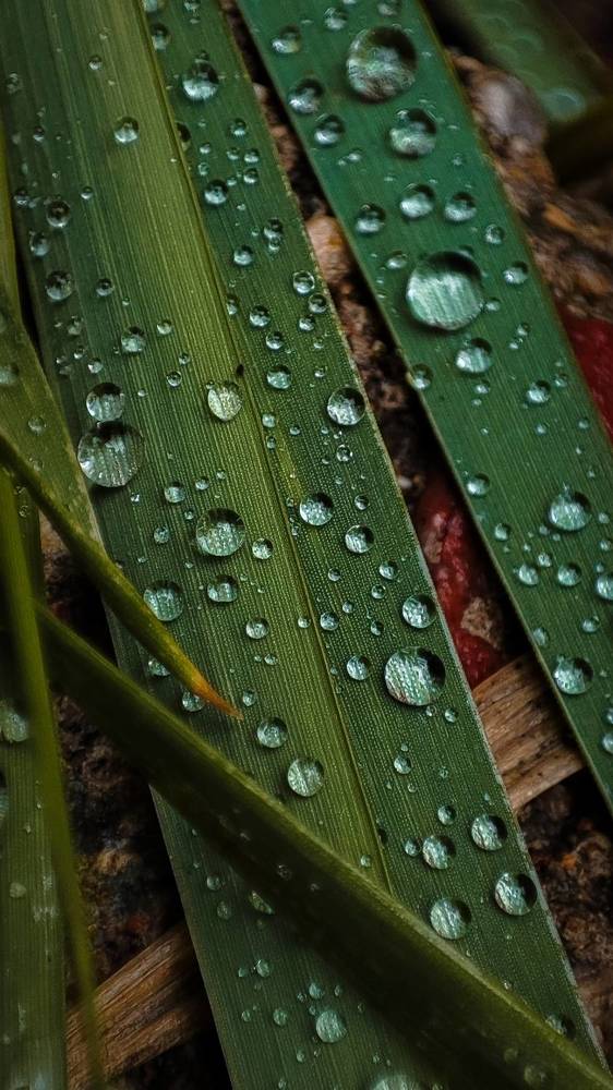 Photograph by Ирина Строкова